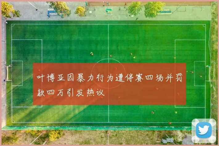 叶博亚因暴力行为遭停赛四场并罚款四万引发热议