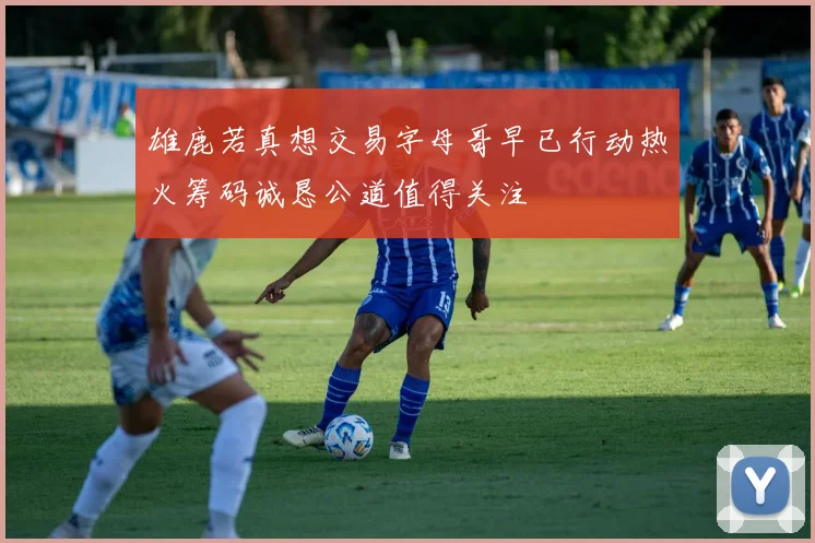 雄鹿若真想交易字母哥早已行动热火筹码诚恳公道值得关注