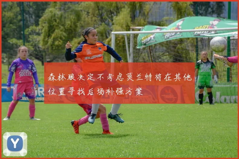 森林狼决定不考虑莫兰特将在其他位置寻找后场补强方案